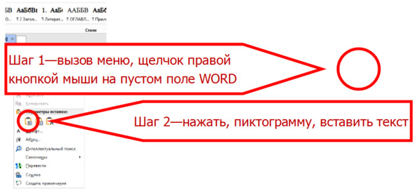 Рисунок 24 — Вставка содержимого буфера в окно WORD